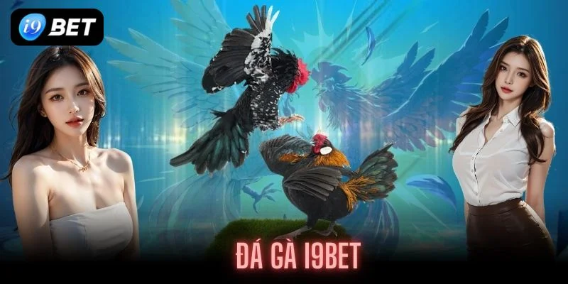 đá gà I9BET